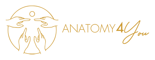 Anatomy4You